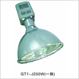 引領綠色照明新時代 高效節(jié)能燈具產(chǎn)品全方位展示